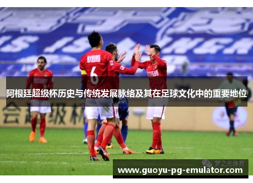 阿根廷超级杯历史与传统发展脉络及其在足球文化中的重要地位 阿根廷超级杯历史与传统发展脉络及其在足球文化中的重要地位
