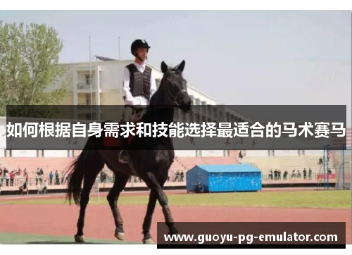 如何根据自身需求和技能选择最适合的马术赛马 如何根据自身需求和技能选择最适合的马术赛马